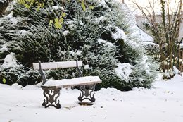 Frohe Weihnachten und alles Gute im neuen Jahr!